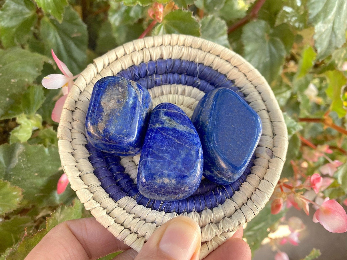 Tumbled Lapis Lazuli from Pakistan - Shop Cosmic Healing