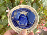 Tumbled Lapis Lazuli from Pakistan - Shop Cosmic Healing