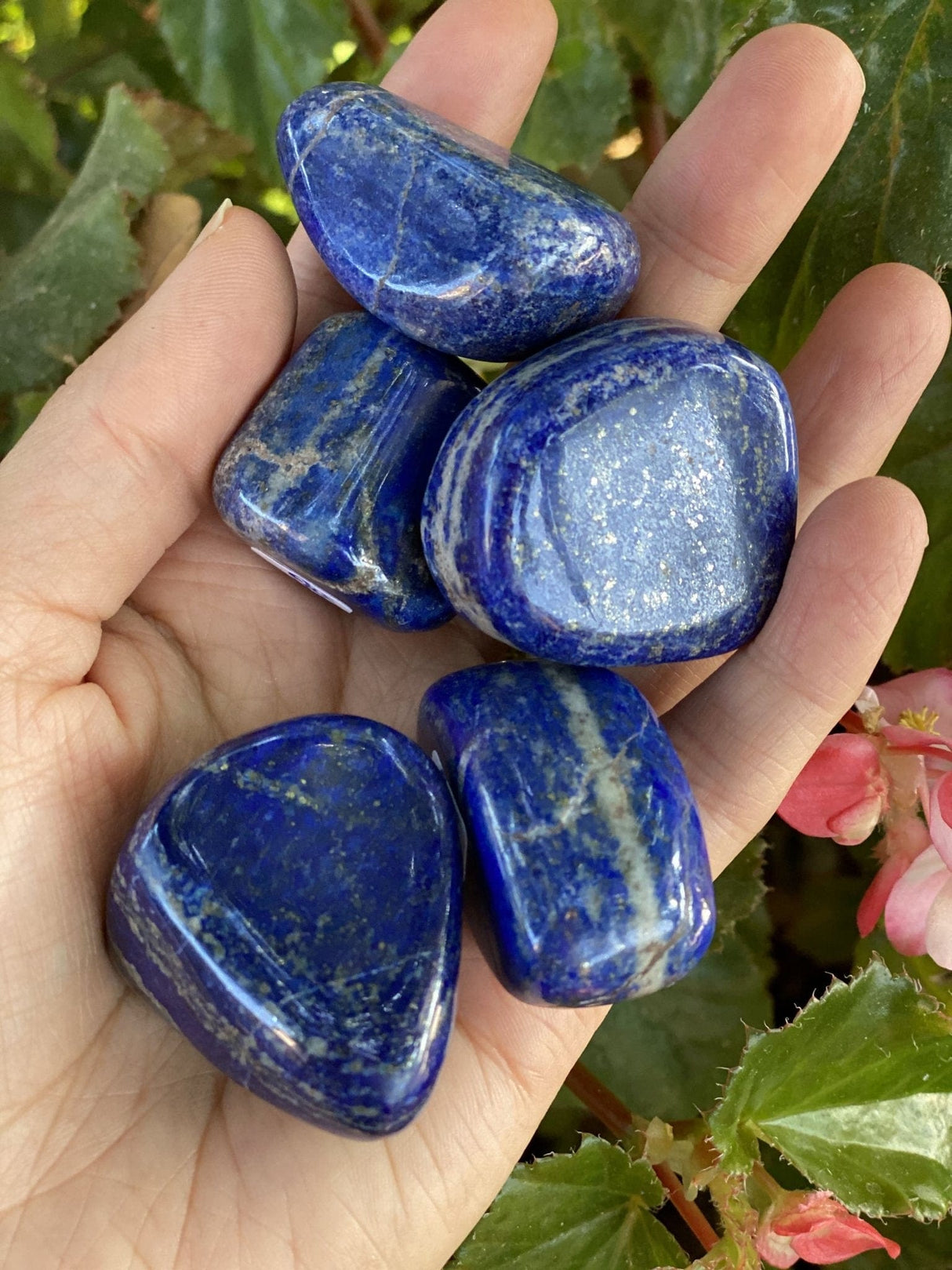 Tumbled Lapis Lazuli from Pakistan - Shop Cosmic Healing