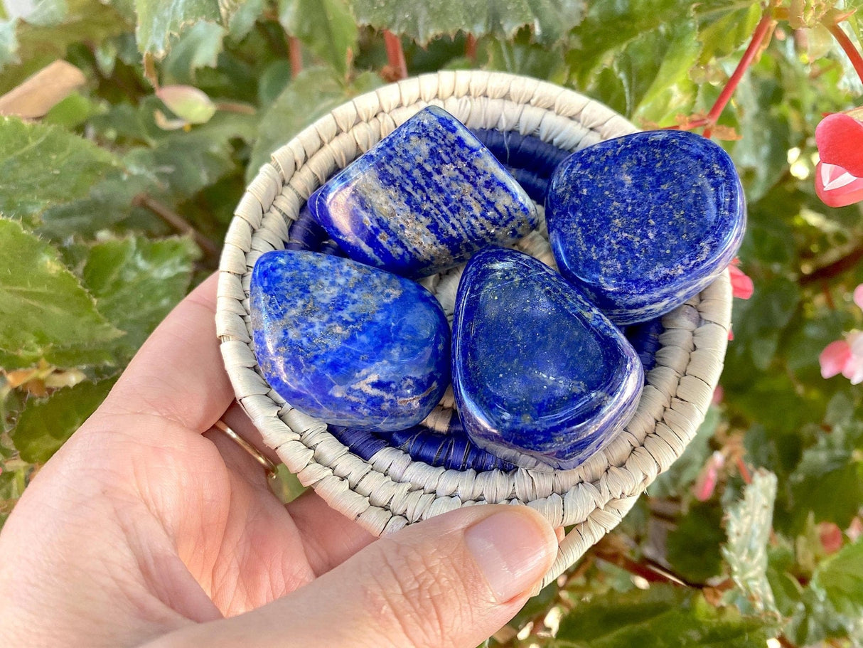 Tumbled Lapis Lazuli from Pakistan - Shop Cosmic Healing