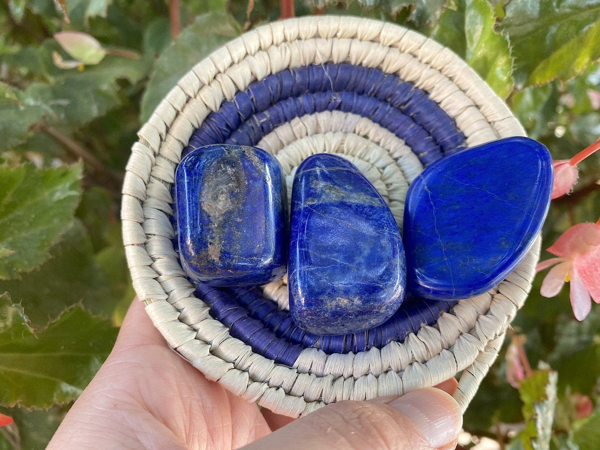 Tumbled Lapis Lazuli from Pakistan - Shop Cosmic Healing