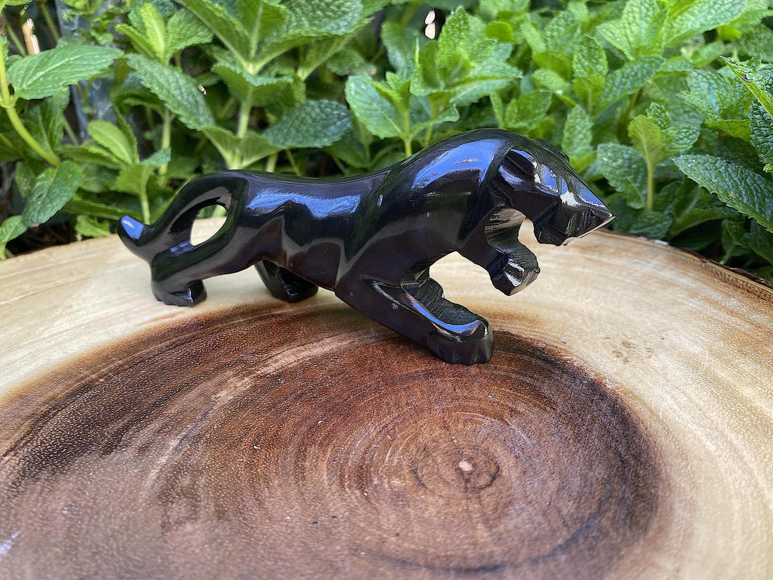 Mexican Obsidian Jaguar/Panther 6.5''