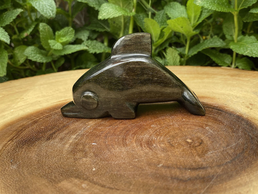 Mexican Obsidian Hand Carved Dolphin