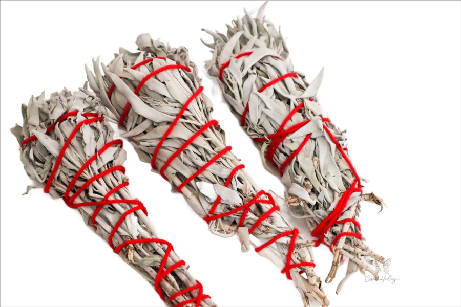 Extra Large Torch Style Mexican White Sage Bundle 9" to cleanse negative energy